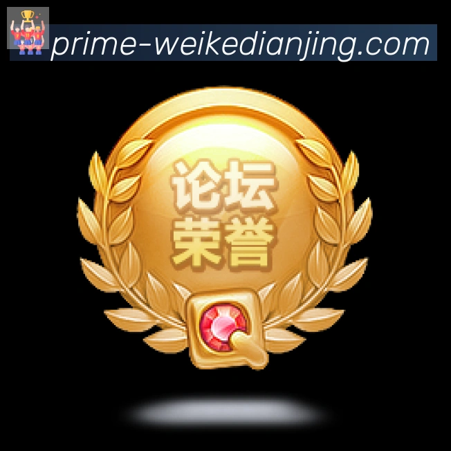 奖项证书